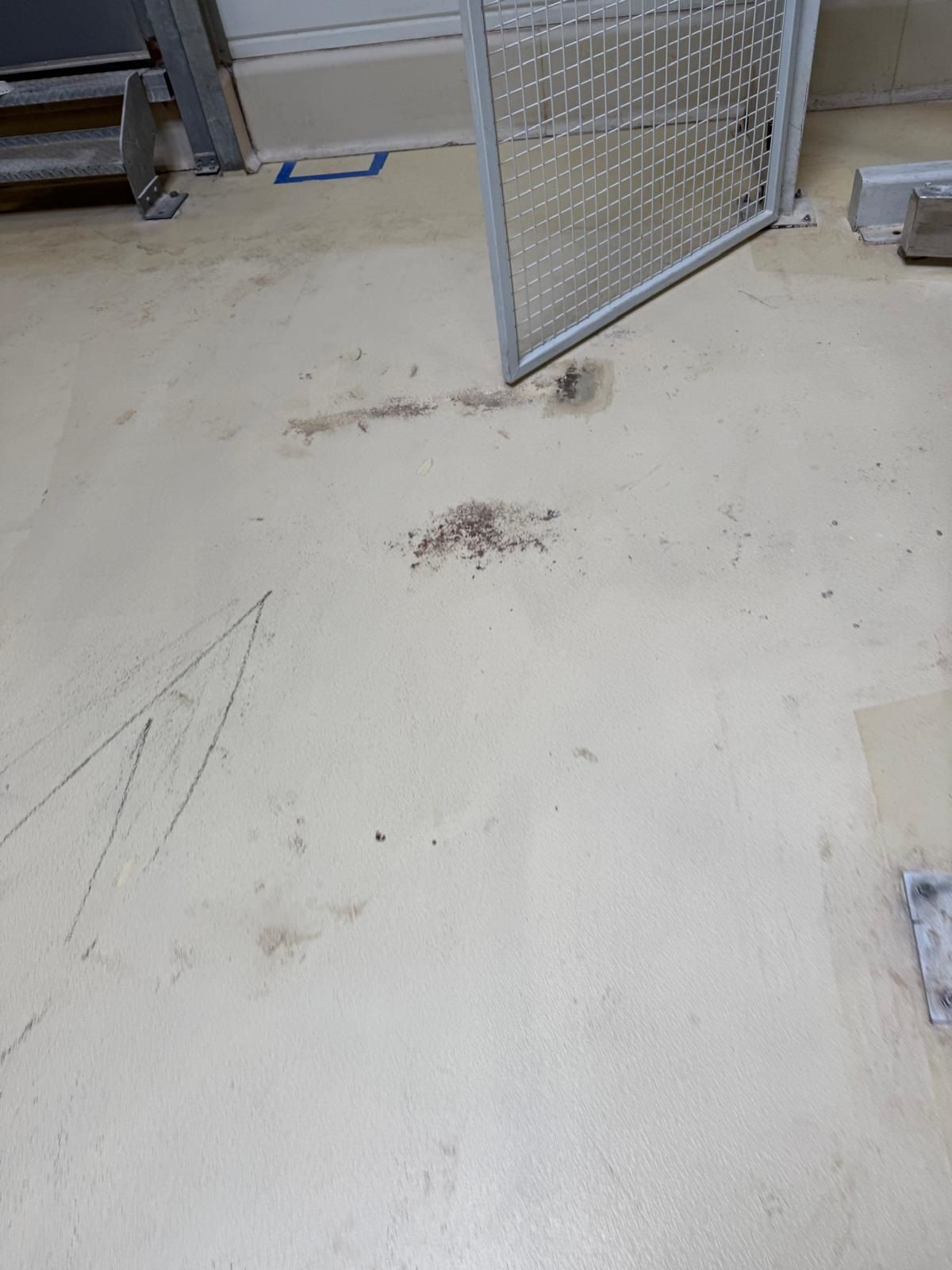 Nettoyage industriel intérieur sol 06