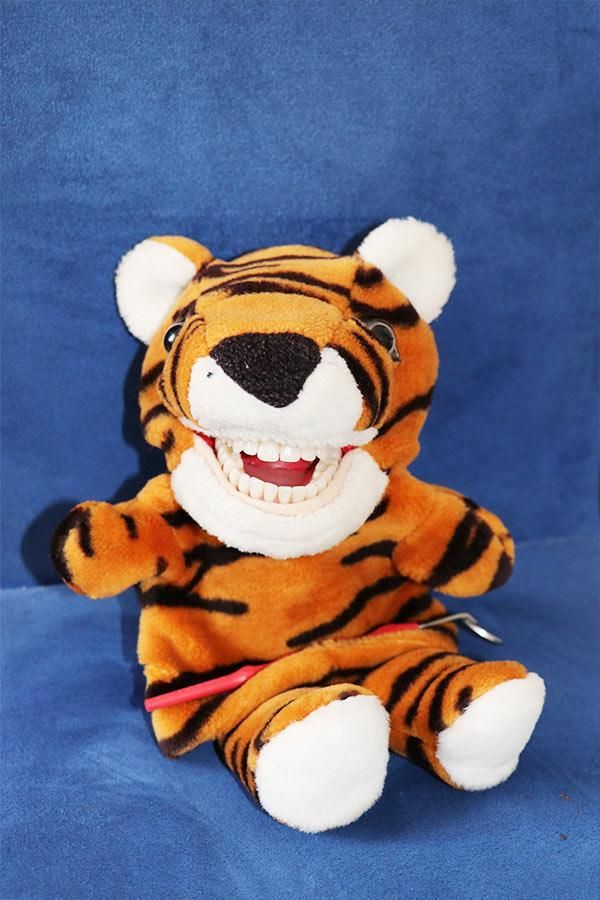 Ein ausgestopfter Tiger mit einer Zahnbürste im Maul