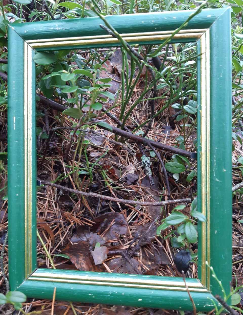 riihimaen-montessori