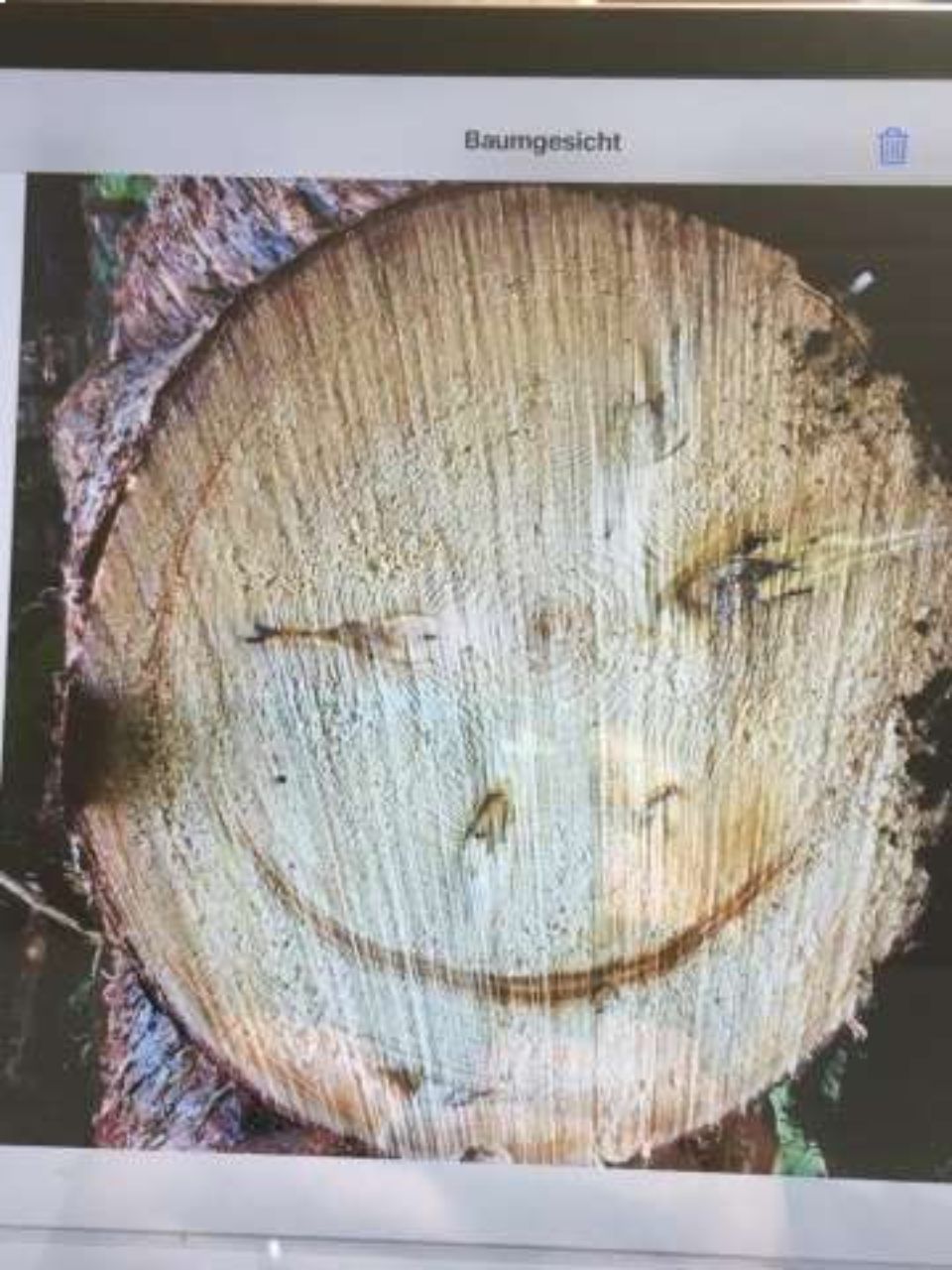 riihimaen-montessori