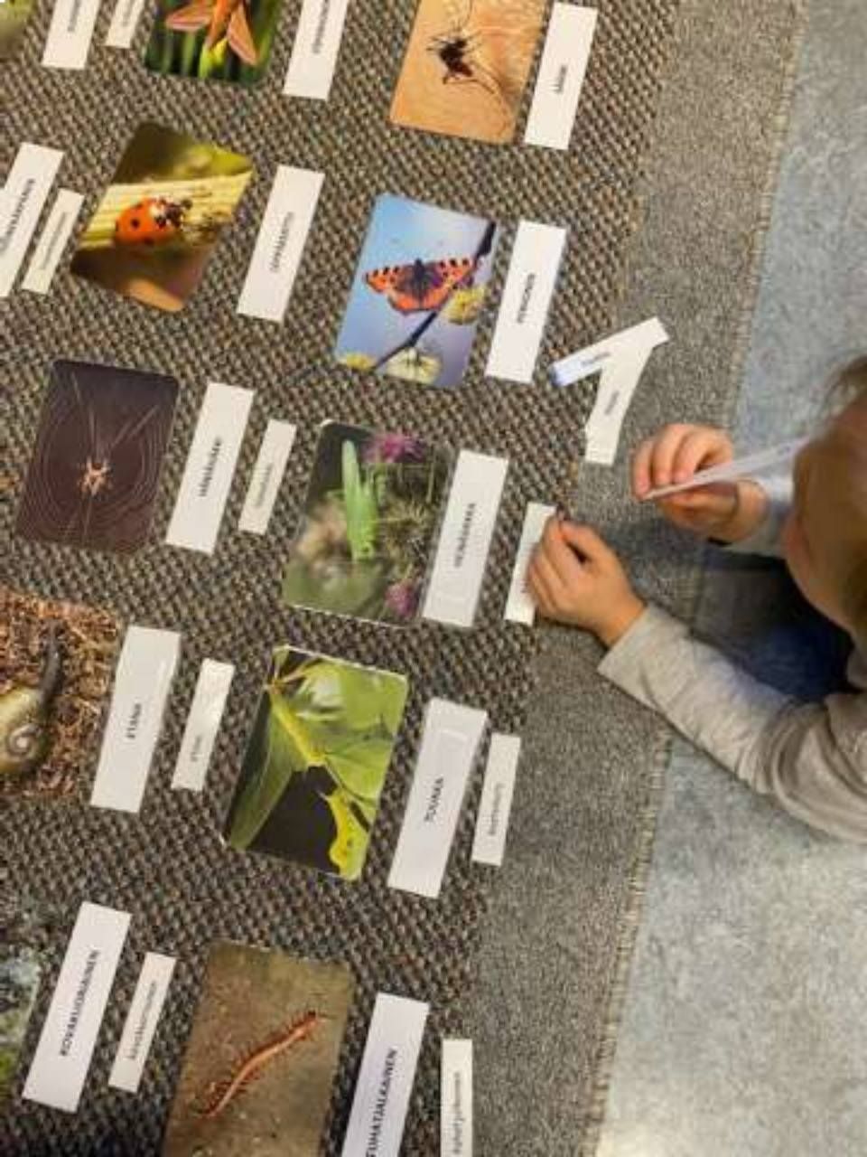 riihimaen-montessori