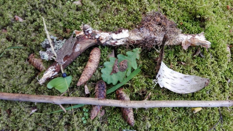 riihimaen-montessori