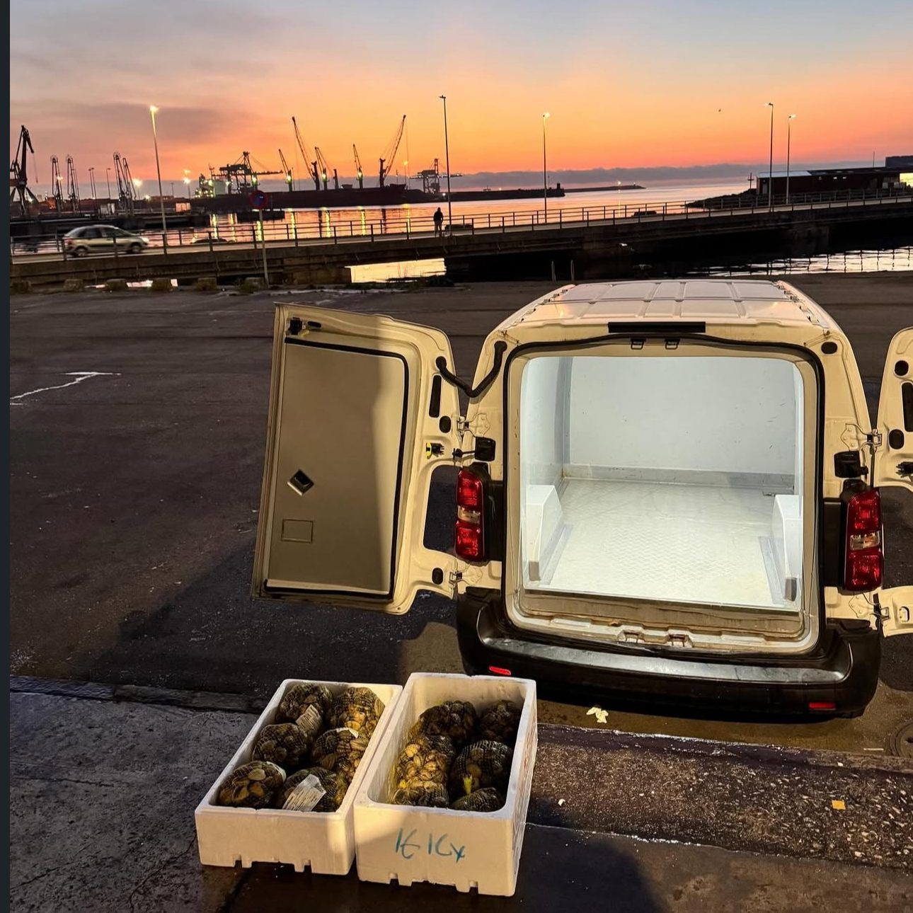 Una furgoneta blanca con las puertas traseras abiertas estaba aparcada en un puerto al amanecer, con dos cajas de productos agrícolas en el suelo.