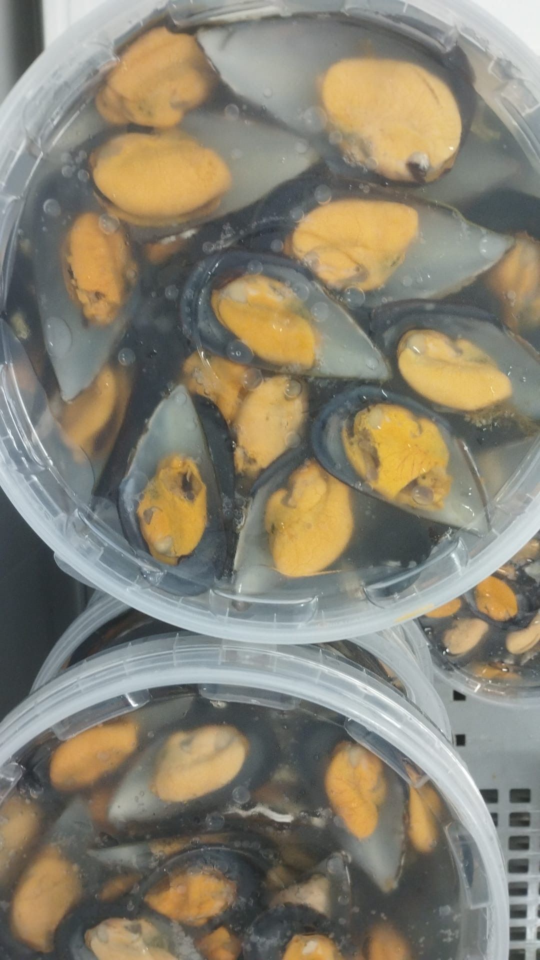 Dos recipientes de plástico llenos de mejillones sin concha sumergidos en líquido, expuestos en una estantería refrigerada.