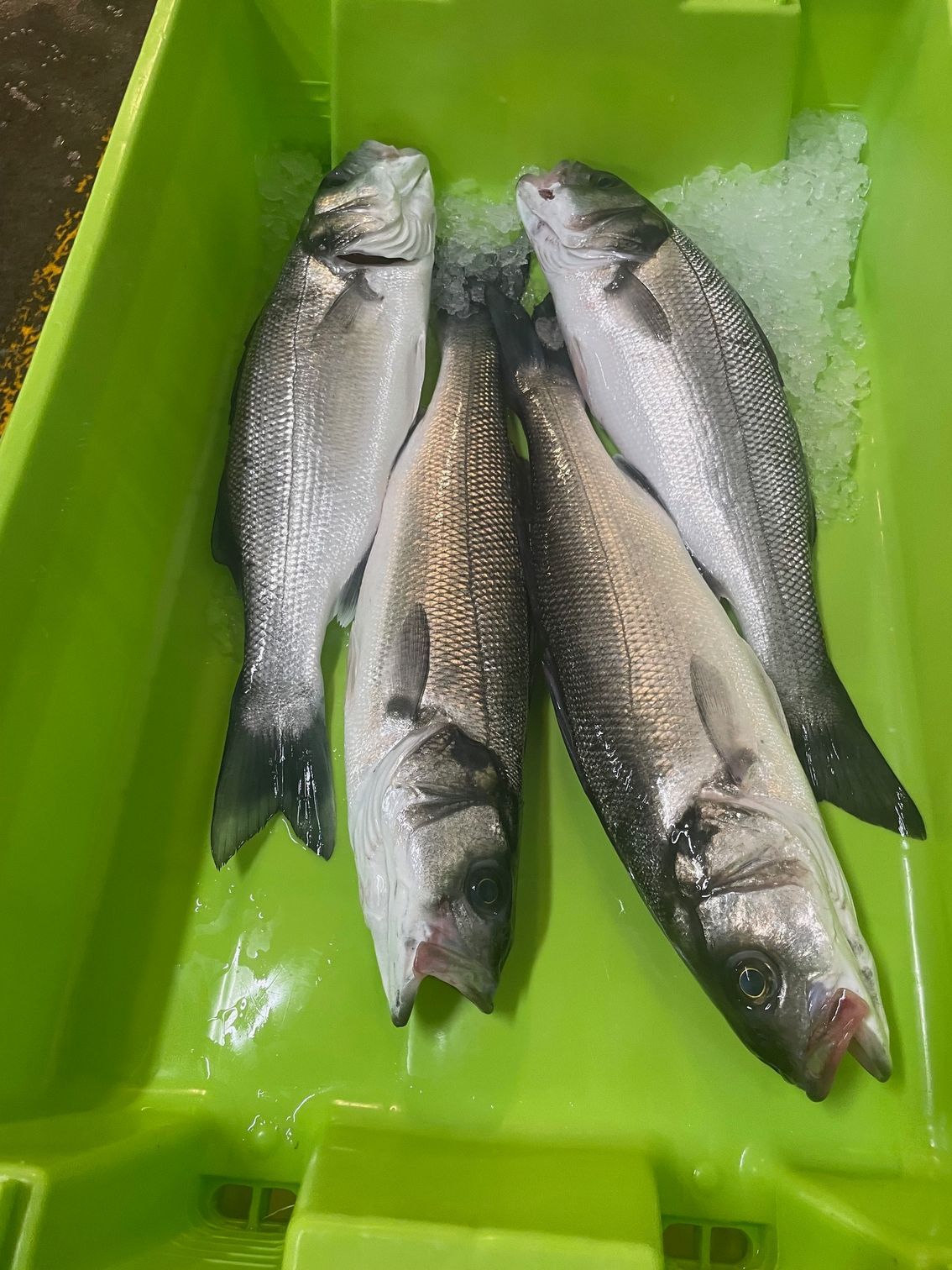 Cuatro pescados enteros frescos dispuestos sobre una cama de hielo dentro de una caja de plástico de color verde lima.