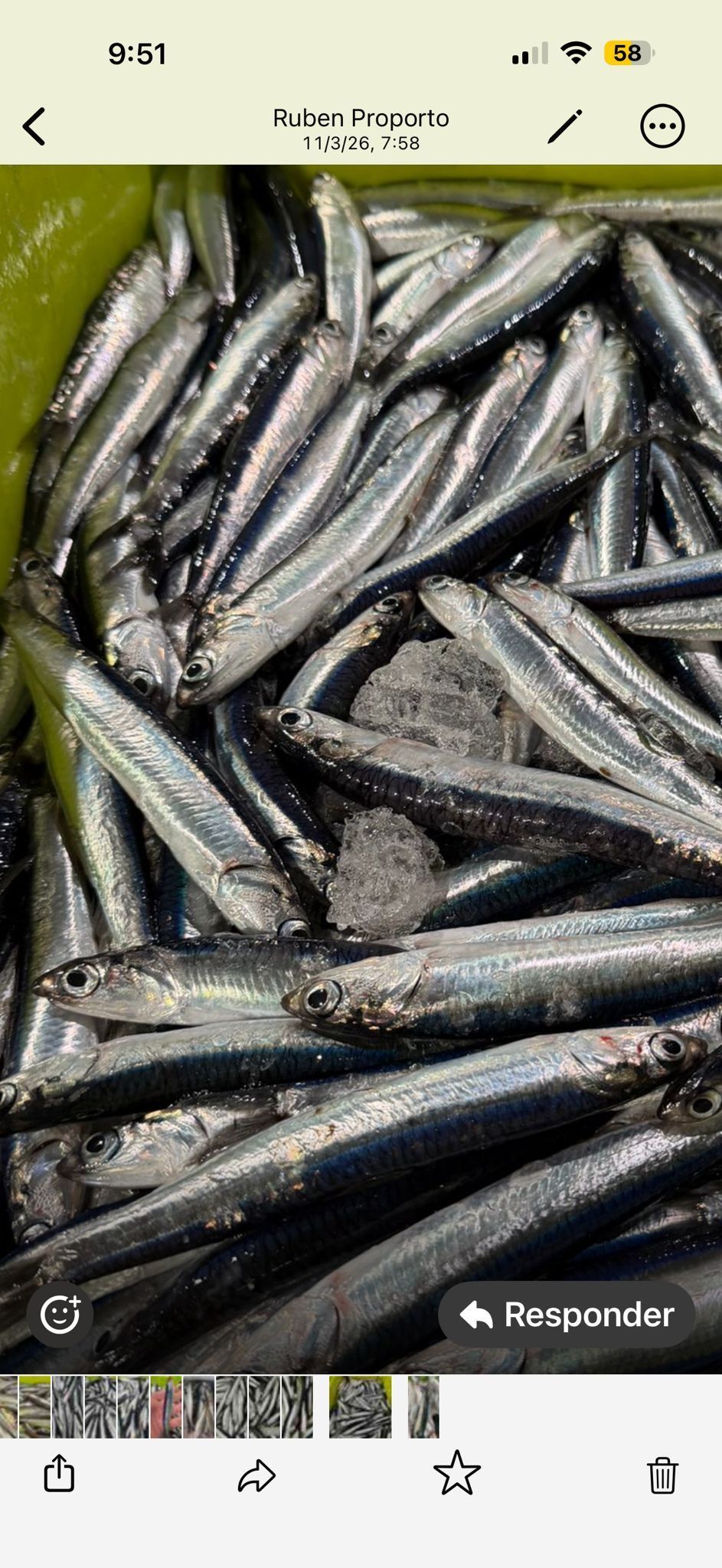 Una gran pila de pequeños peces crudos de color plateado, apilados muy juntos en un recipiente.