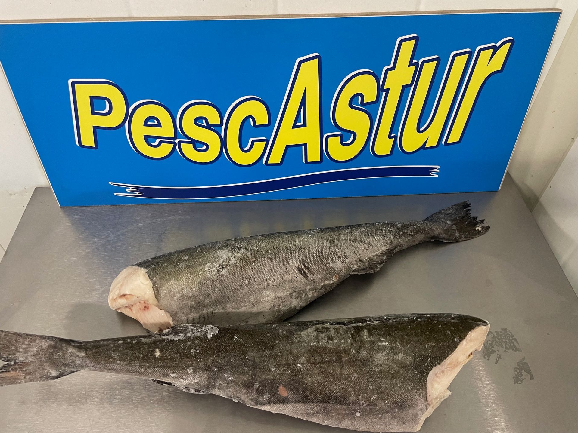 Dos peces congelados y sin cabeza colocados sobre un mostrador de acero frente a un letrero azul de PescAstur.
