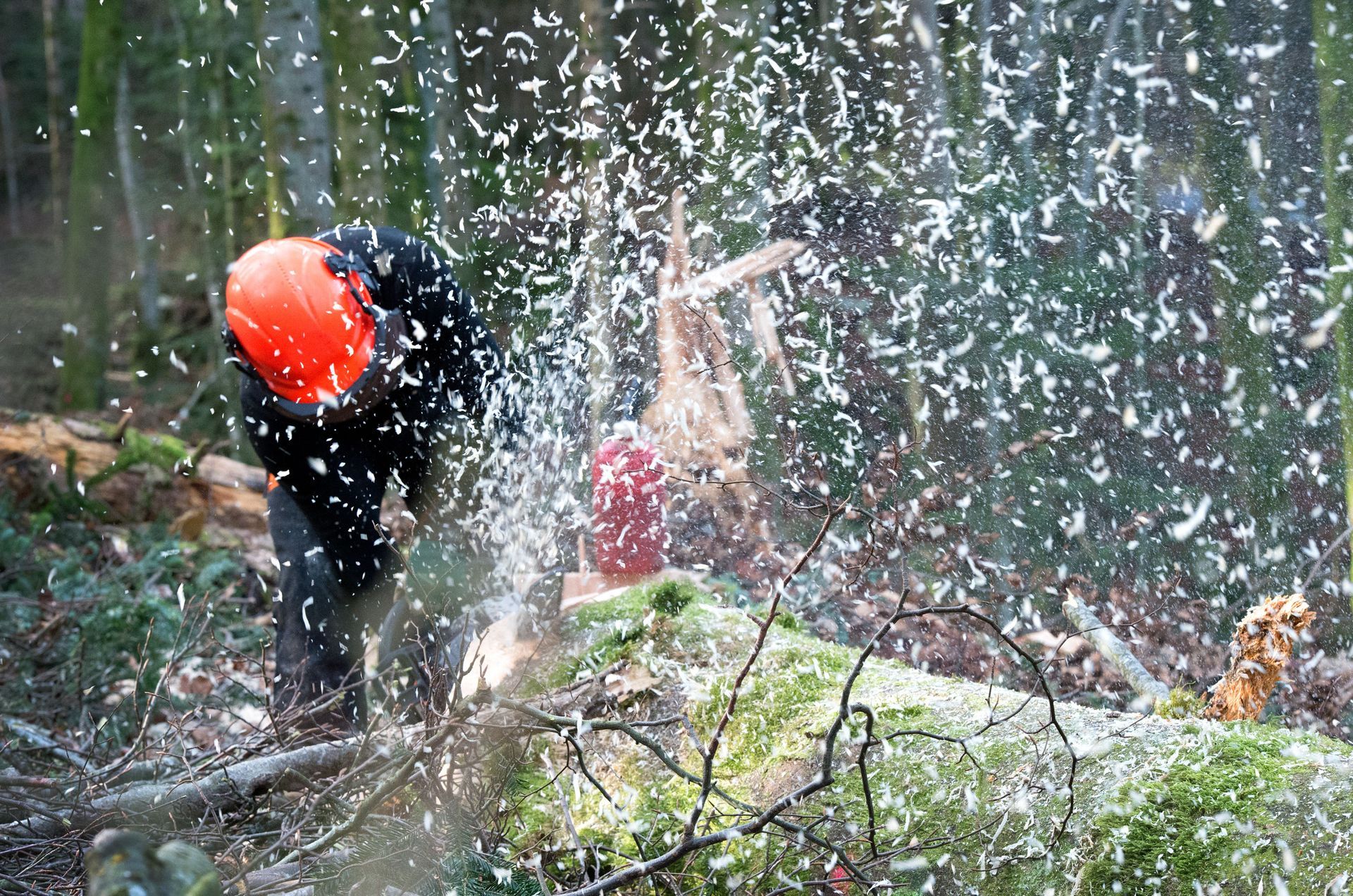 Top Elagage & Jardin Sàrl - Découpe de tronc
