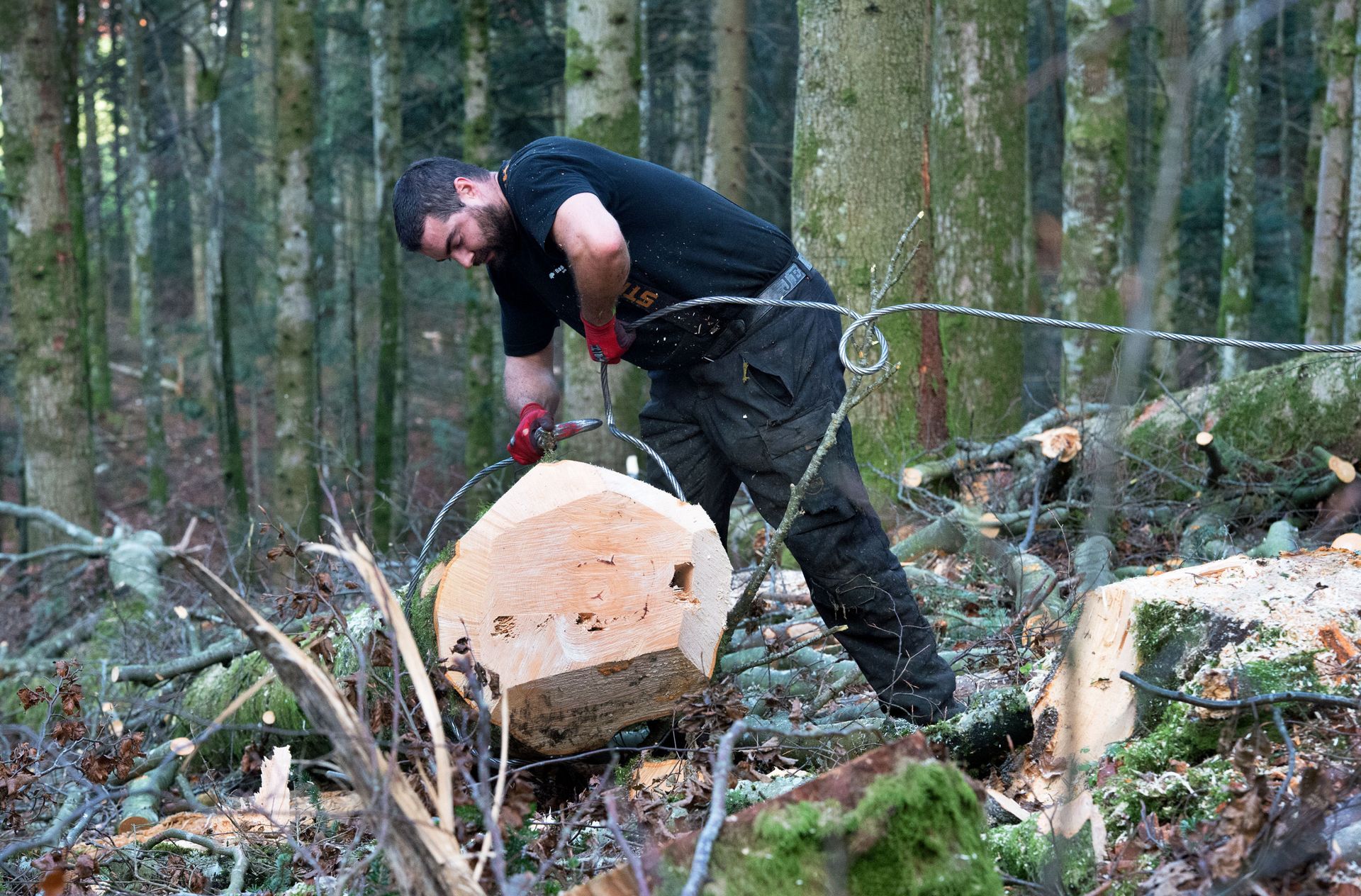 Top Elagage & Jardin Sàrl - Sciage de tronc