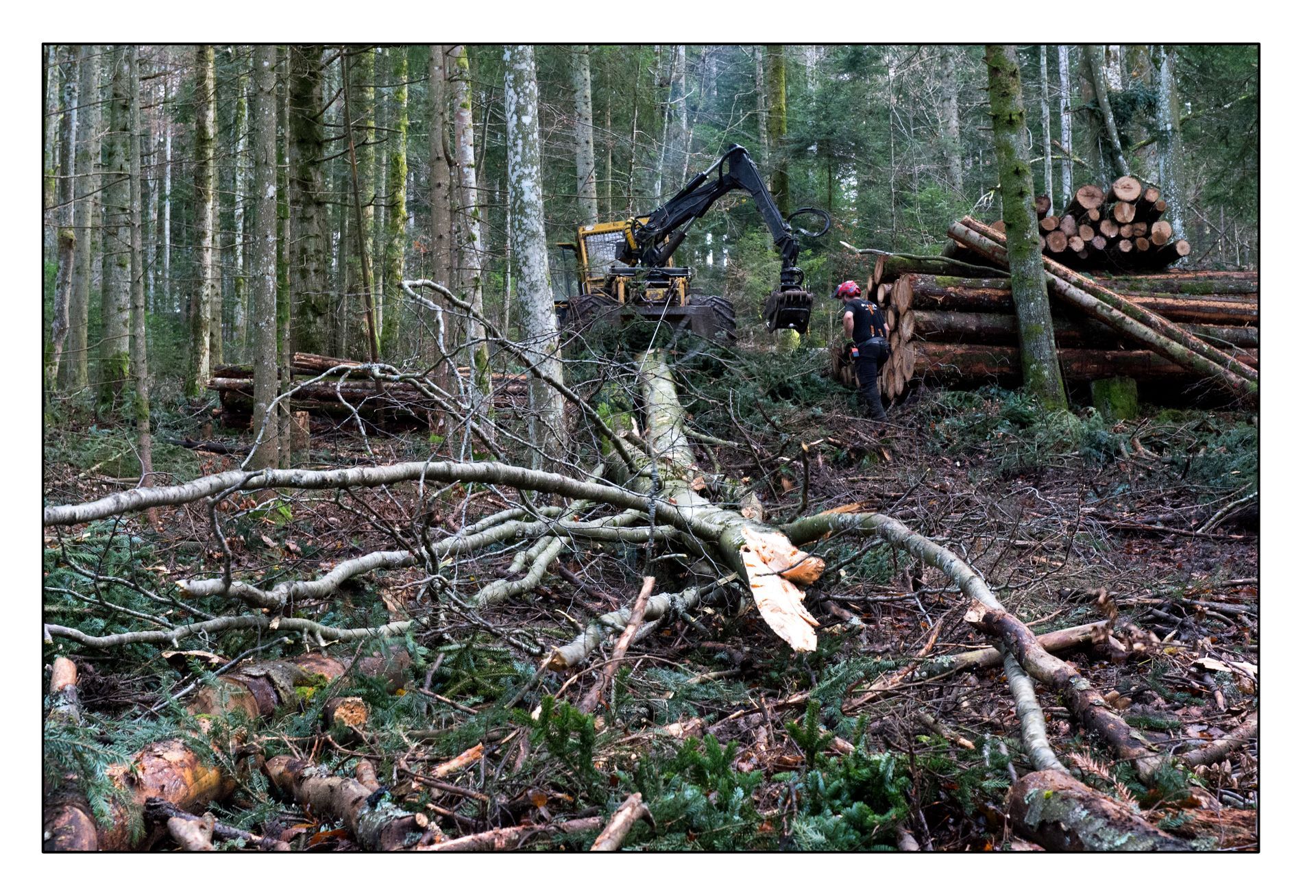 Top Elagage & Jardin Sàrl - Débardage