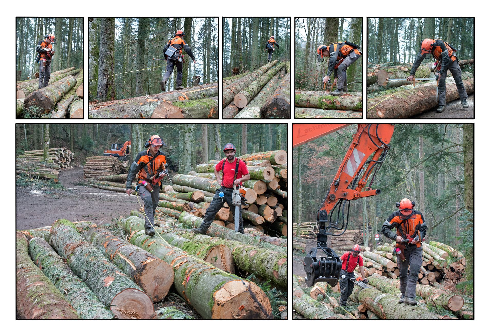 Top Elagage & Jardin Sàrl - Travaux forestiers