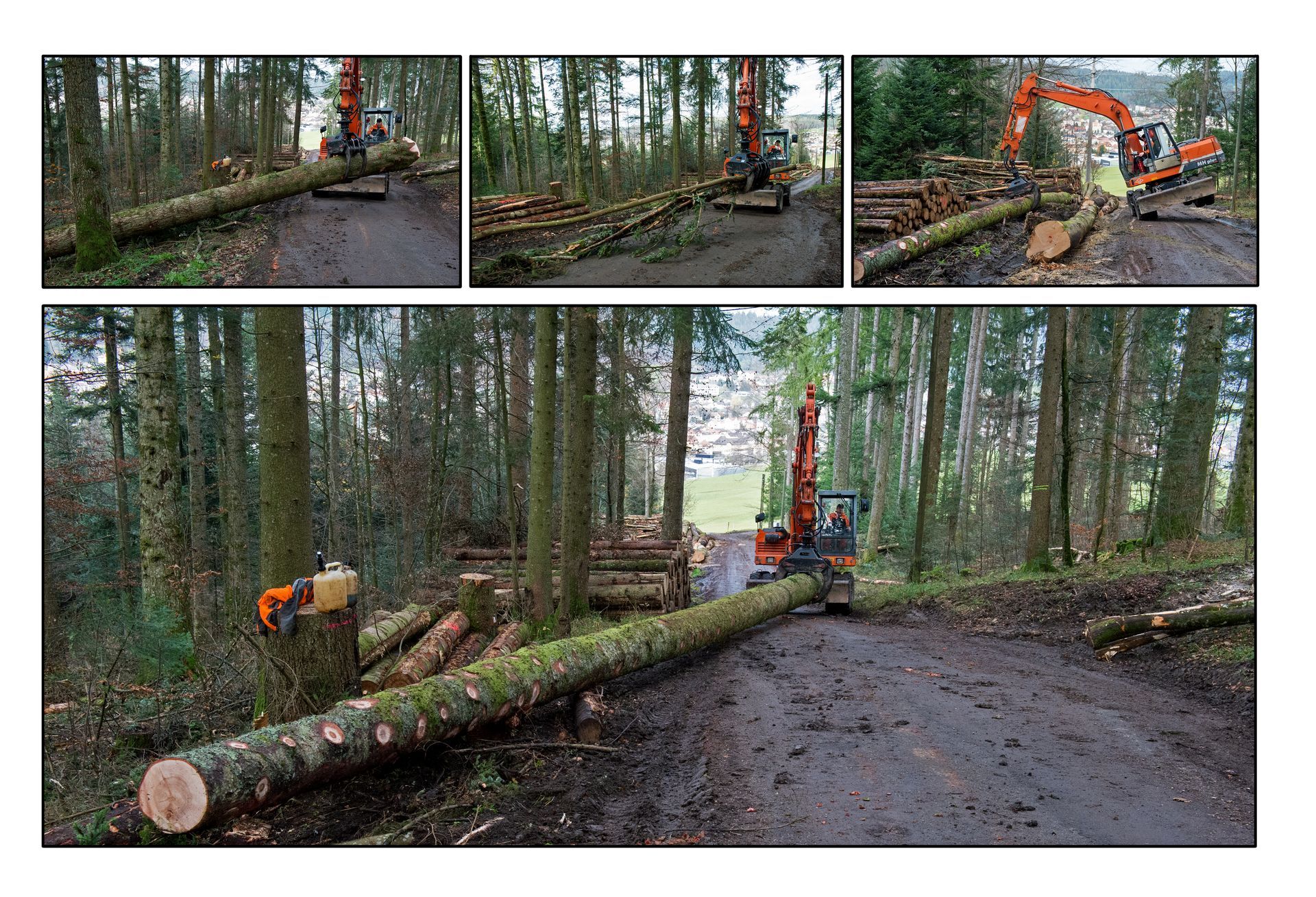 Top Elagage & Jardin Sàrl -- travaux forestiers