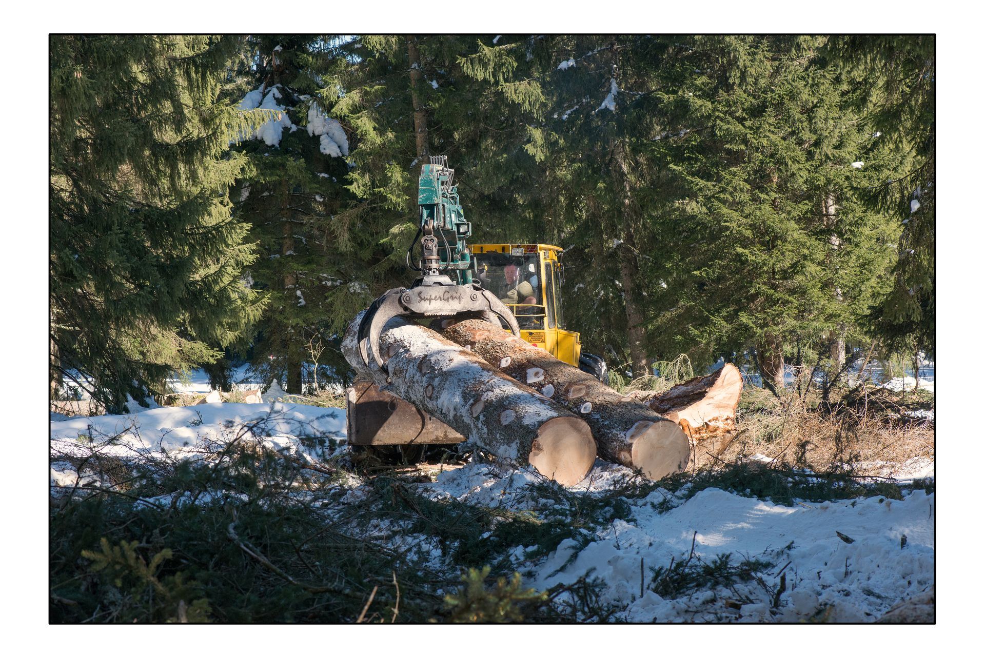 Top Elagage & Jardin STop Elagage & Jardin Sàrl - Déneigementàrl - Aménagement extérieur