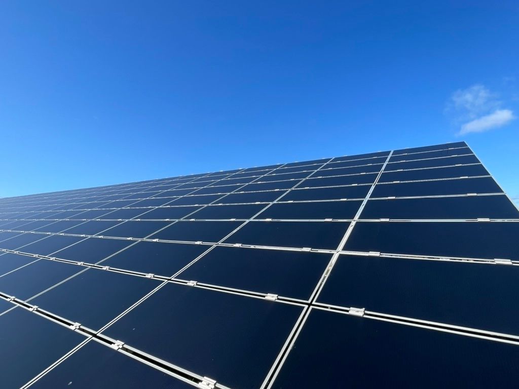 Paneles solares contra un cielo azul claro.