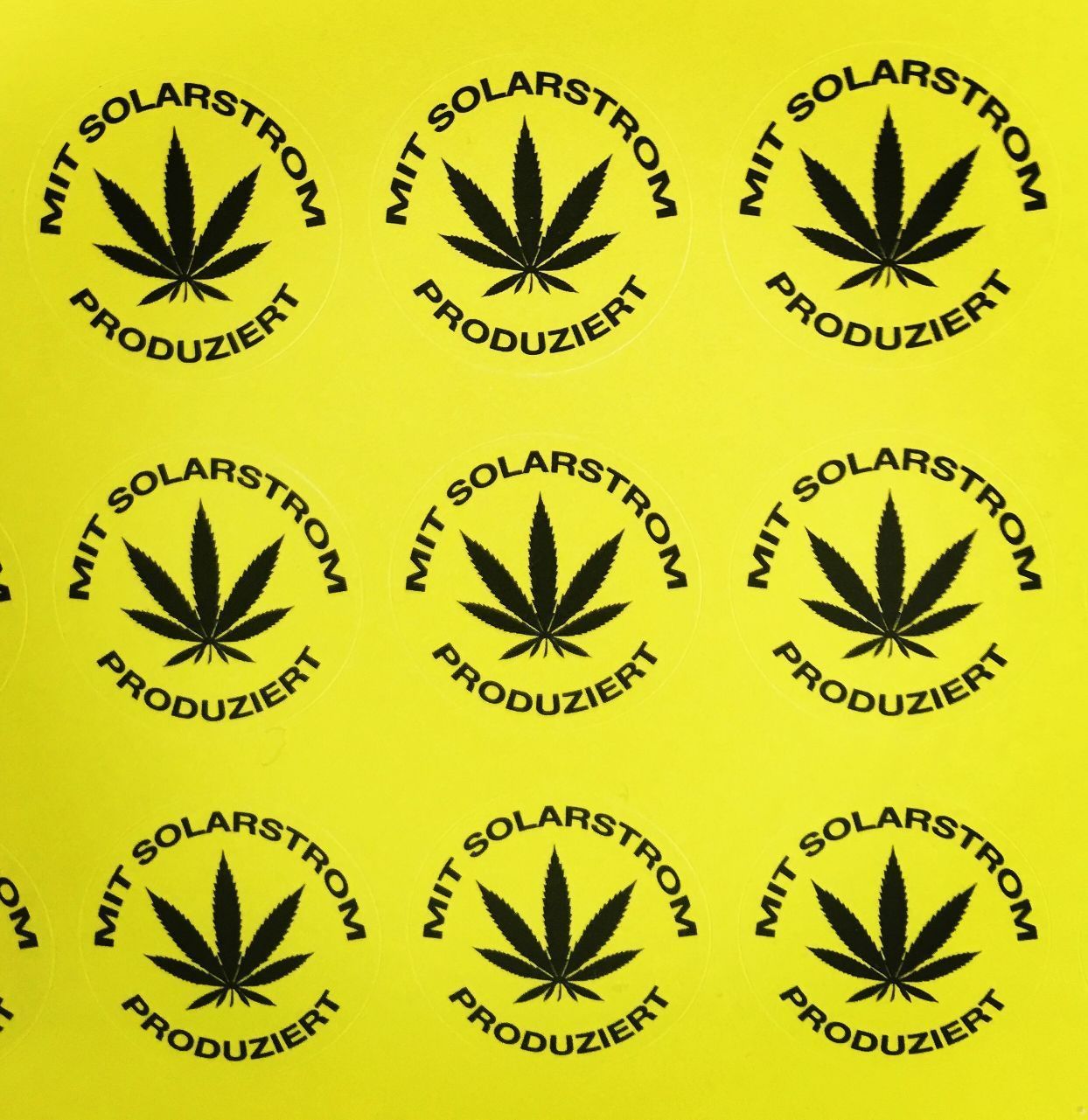 CBD Steckling Zürich Affoltern Albis Schweiz