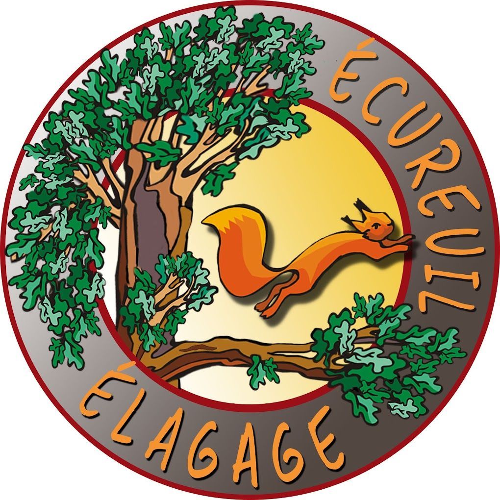 Logo de l'entreprise Écureuil Élagage