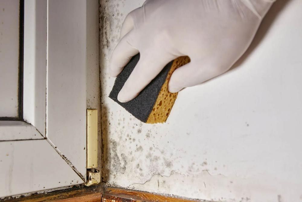 Nachhaltig trockene Kellerräume bei Bochum