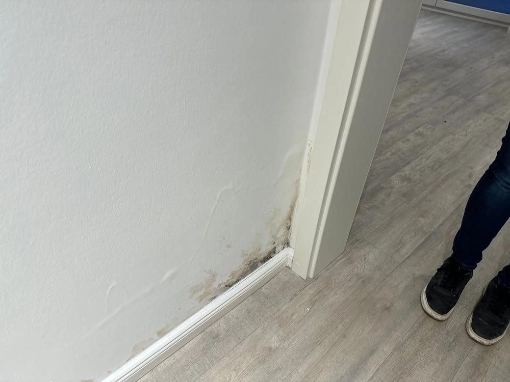 Schimmelbildung an einer weißen Wand in der Ecke eines Türrahmens, sichtbar in der Nähe der Fußleiste und der Zierleiste.