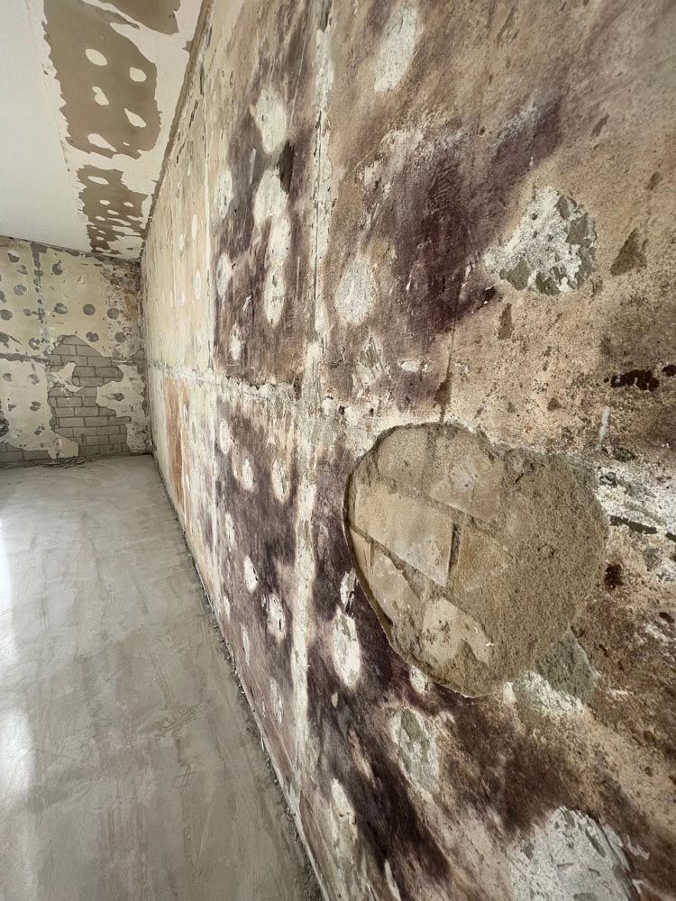 Innenraum mit beschädigten, schimmeligen Wänden. Stellenweise blättert der Putz ab und legt das Mauerwerk frei. Betonboden.