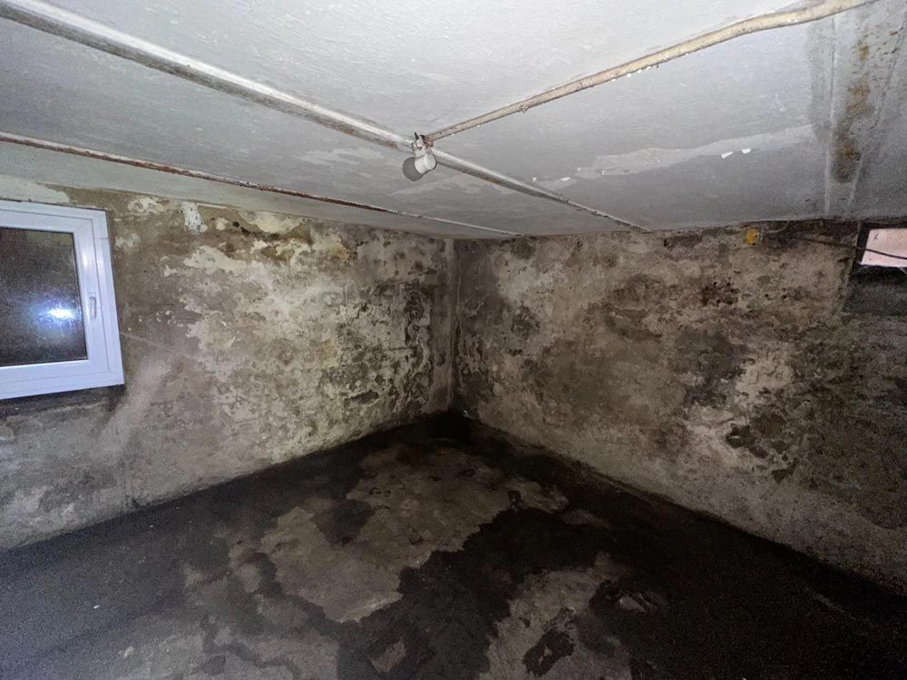 Feuchter Keller mit Wasser auf dem Boden, fleckigen Wänden und einem kleinen Fenster.