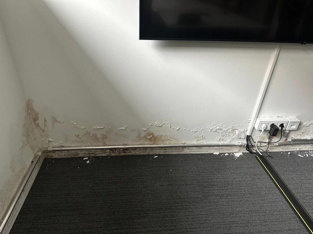 Wasserschäden an einer weißen Wand, abblätternde Farbe und dunkle Flecken in Bodennähe.