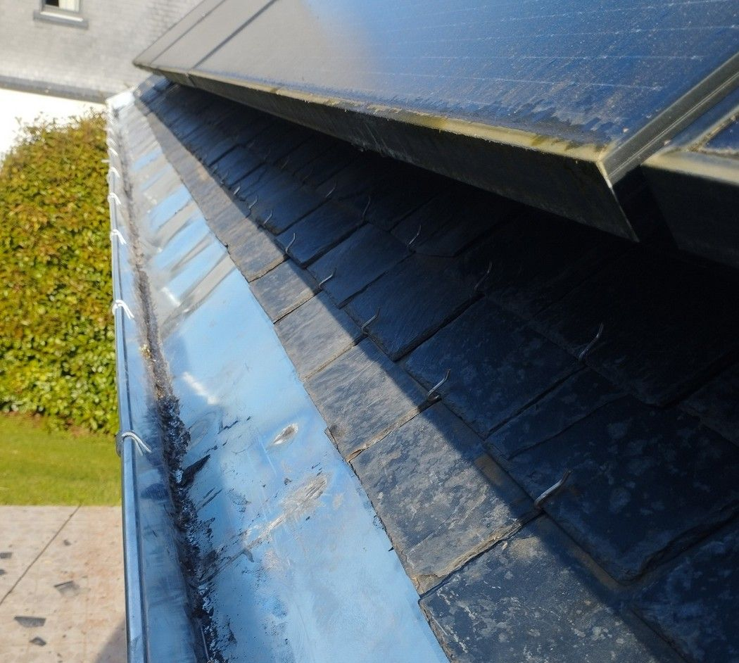 Tuiles noires et gouttières, gros plan avec un aperçu de feuillage et du bord d'une maison.