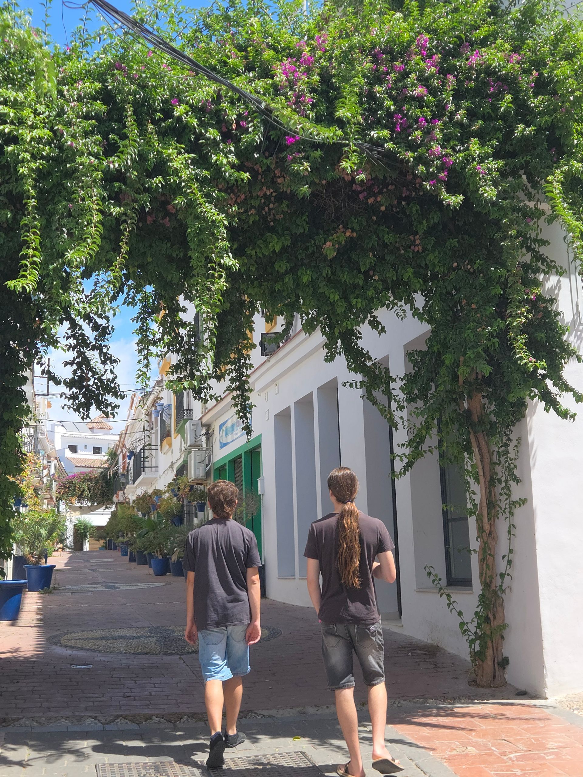 Dos jóvenes caminan por una calle estrecha de una ciudad europea, sombreada por enredaderas en flor.