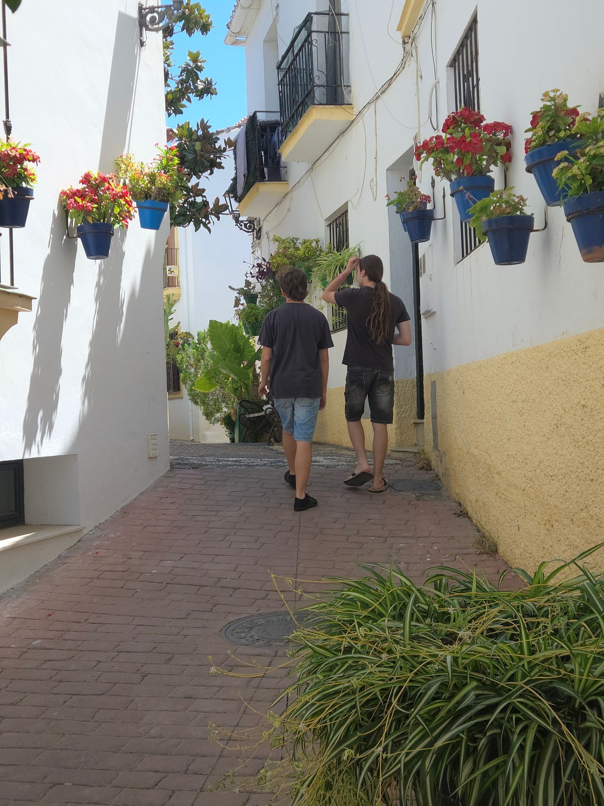Dos personas caminando por una calle estrecha bordeada de edificios blancos, macetas azules y flores rojas.