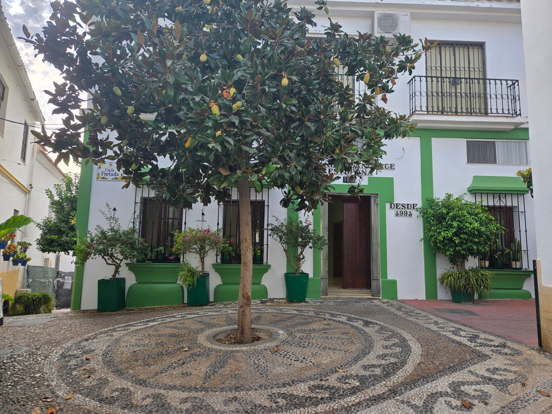 Un árbol en un patio adoquinado frente a un edificio blanco con molduras verdes.