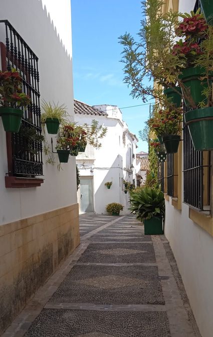 Estrecha calle adoquinada bordeada de edificios blancos y macetas, bajo un cielo azul.