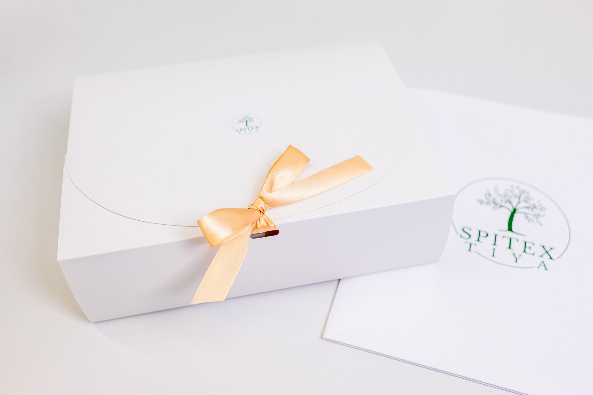 Eine Krankenschwester spricht mit einer älteren Frau, die auf einer Couch sitzt. Spitex Tiya GmbH