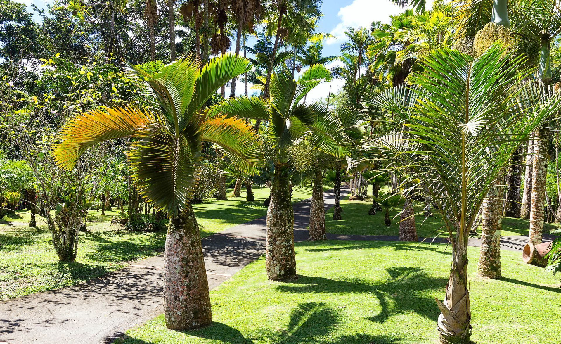 Jardin de Balata