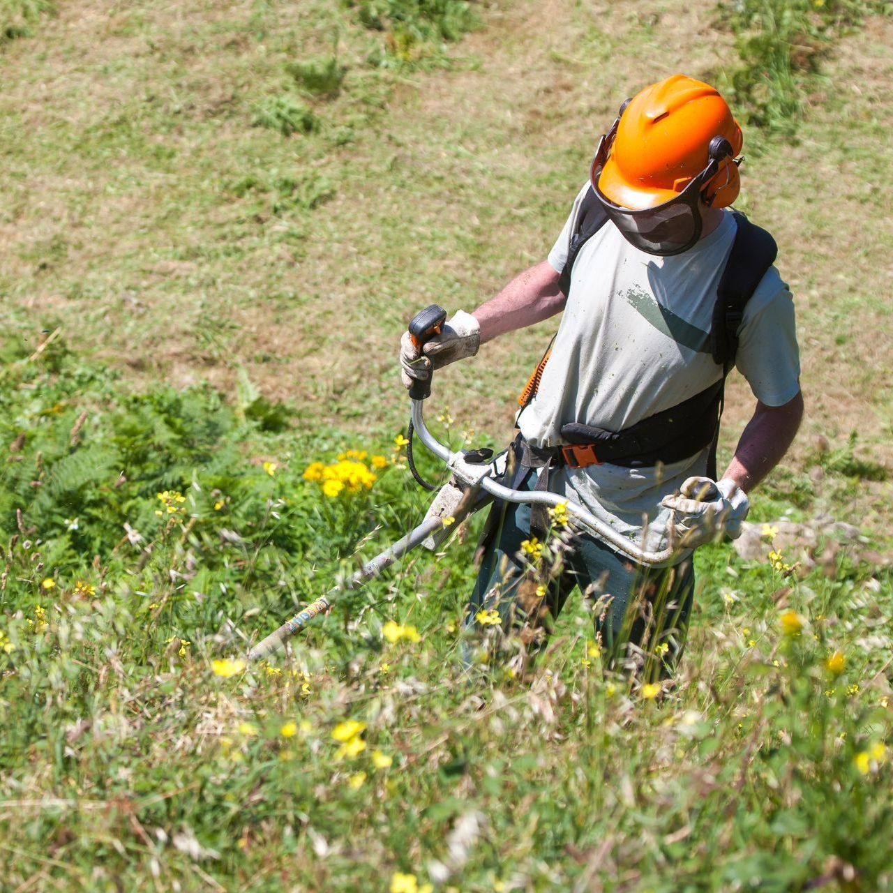 Un jardinier qui débroussaille un champ