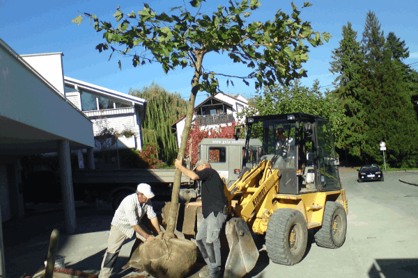 Landschaftsbauer bei der Arbeit