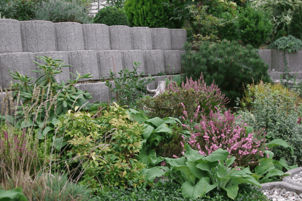 gepflegte Grünanlage