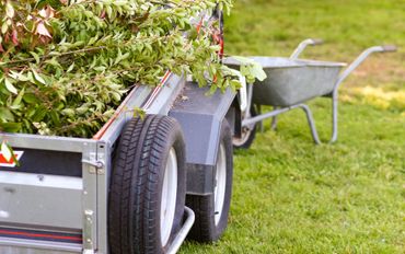 Remorque de jardin chargée de branches vertes, avec une brouette en arrière-plan herbeux