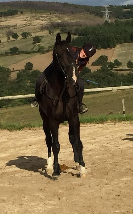 Une femme monte un cheval noir en extérieur, avec des collines en arrière-plan.