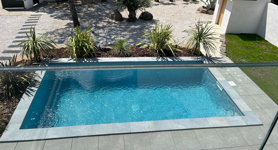 Piscine avec terrasse et aménagements paysagers
