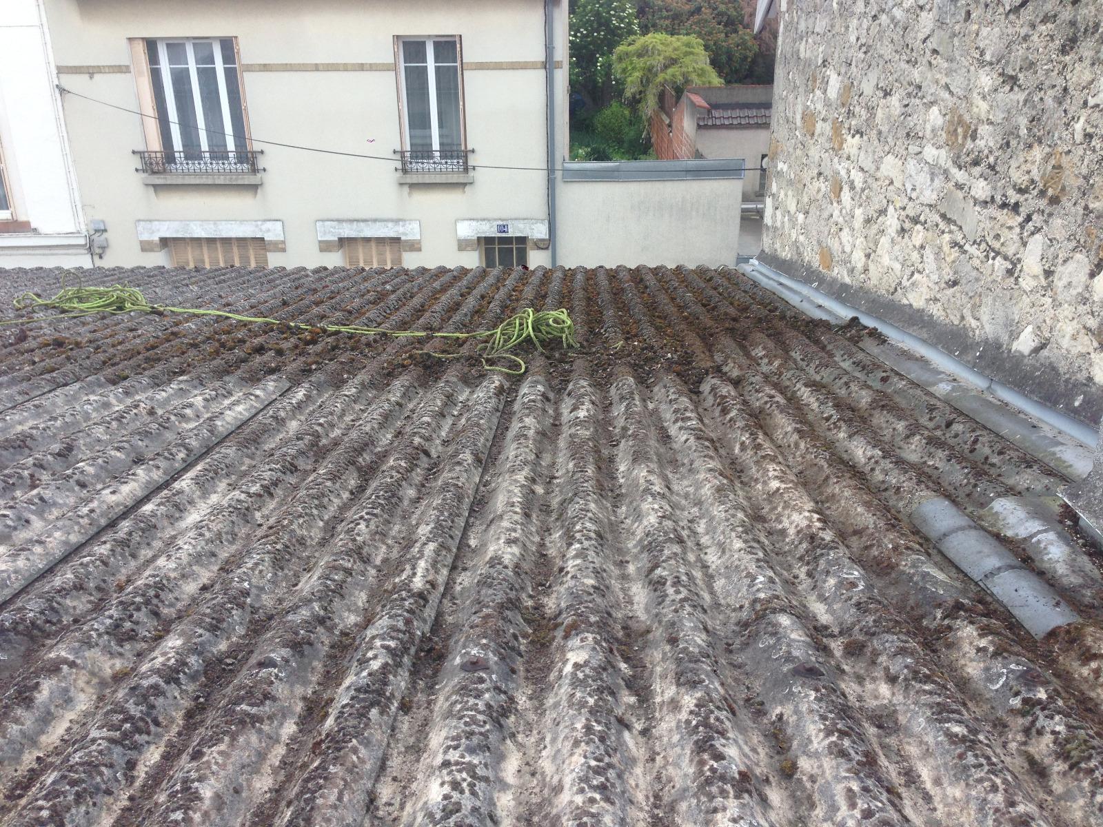 Mousse sur toiture en fibro ciment