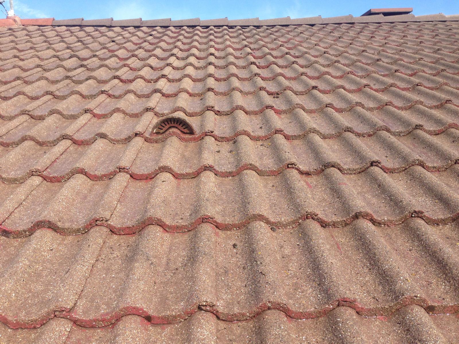 Démoussage d'une couverture en tuile