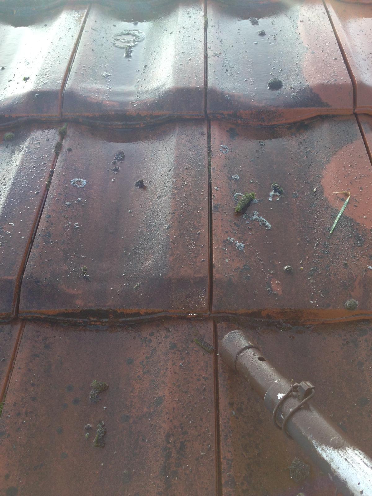 Traitement hydrofuge sur tuiles