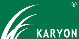 Un logotipo de Karyon verde y blanco con AR en él.