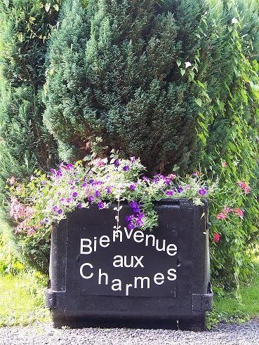 Bienvenue au camping 