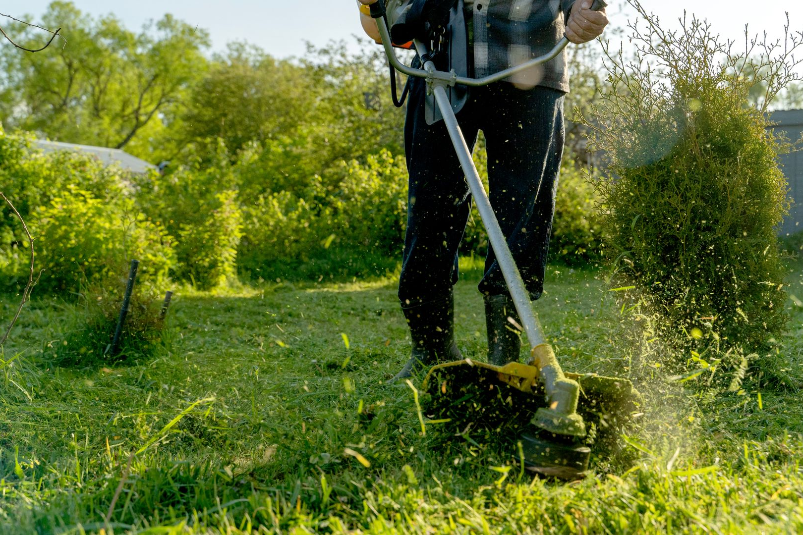 Une personne utilise un coupe-bordures pour tondre la pelouse d'un jardin verdoyant et ensoleillé.