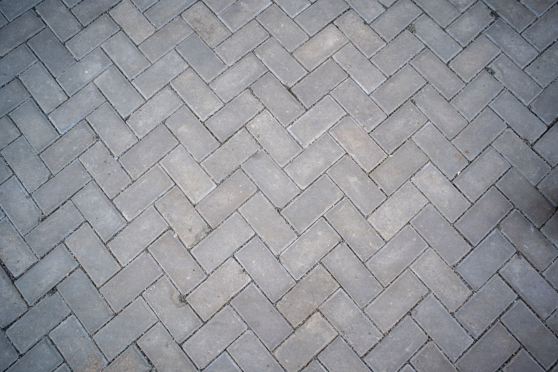 Pavés en briques grises à chevrons, à surface patinée