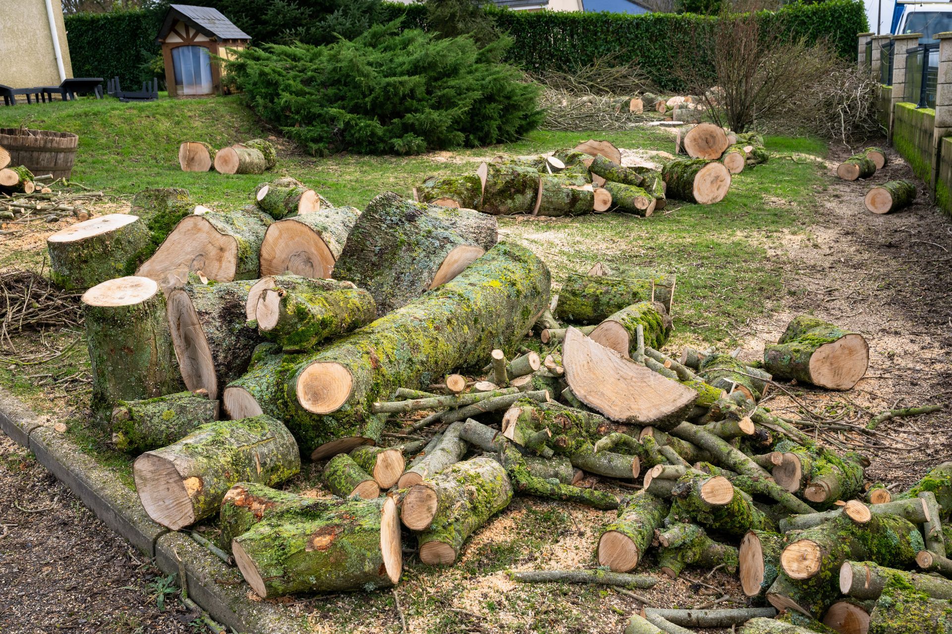 Des troncs d'arbres coupés et des branches empilés dans une cour avec de l'herbe et des haies.