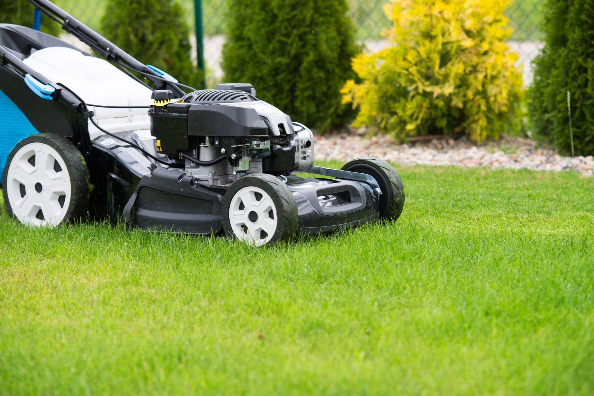 Tondeuse à gazon noire sur de l'herbe verte dans un jardin