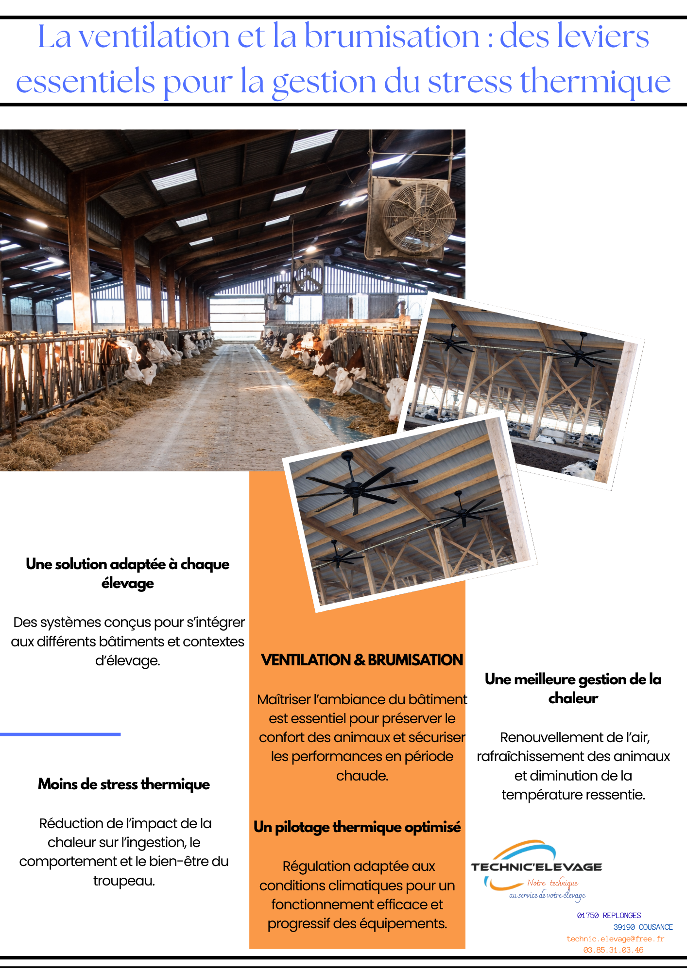 Infographie sur la préservation du troupeau et l'optimisation de la production laitière