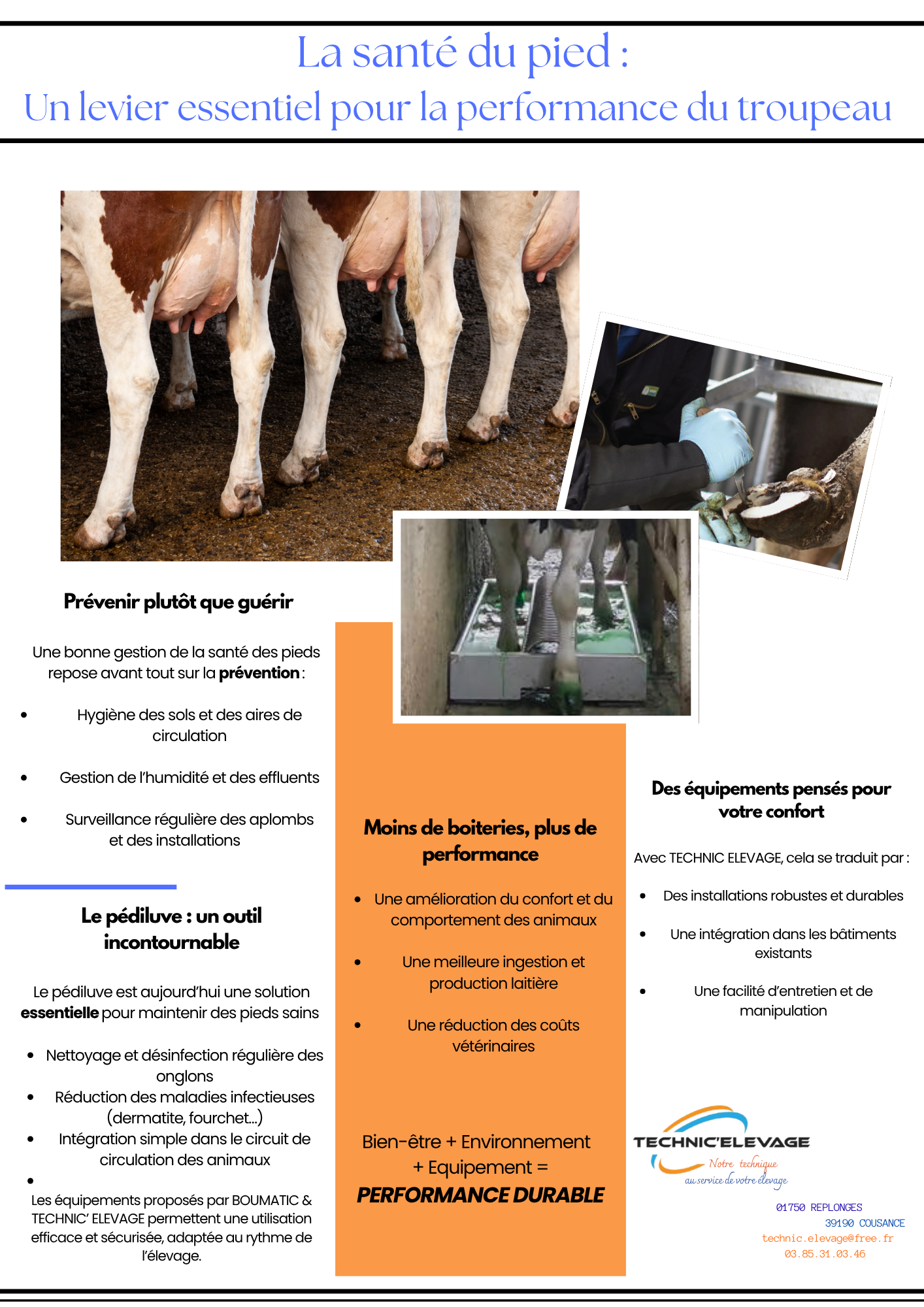 Infographie sur la préservation du troupeau et l'optimisation de la production laitière