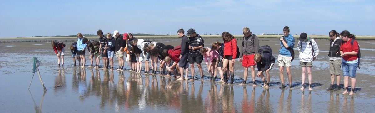 Eine Gruppe von Menschen beugt sich an einem nassen Sandstrand hinunter und erkundet das flache Wasser.